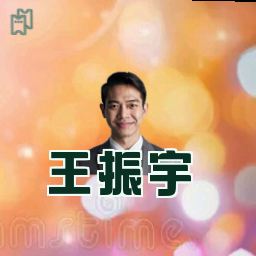 王振宇